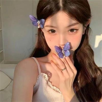 铁拳浪子