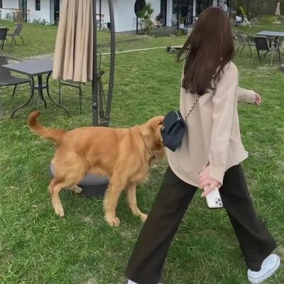 阿拉斯加大淘金第九季