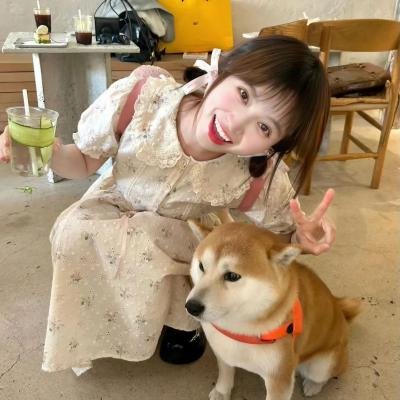 我和我们的夏天